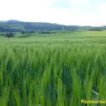Höhlen- und Schluchtensteig