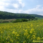 Höhlen- und Schluchtensteig