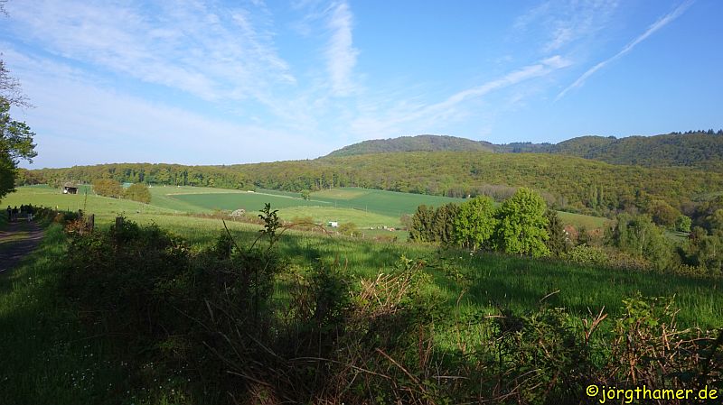 Wandermarathon Donnersberg