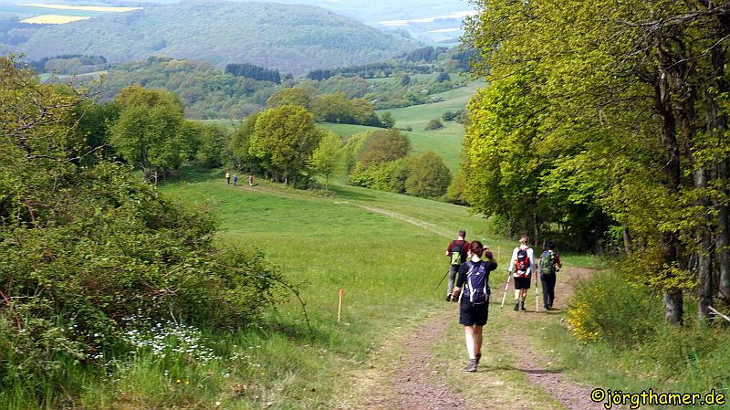 Wandermarathon Donnersberg