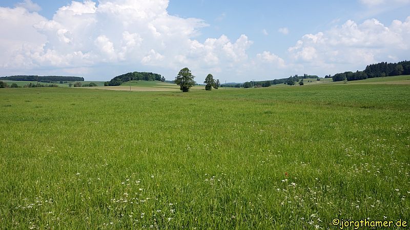 Wiesengänger Route