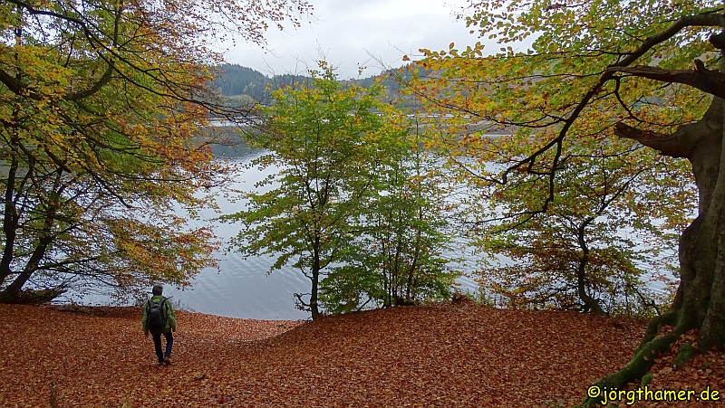 Wandern in der Vulkaneifel