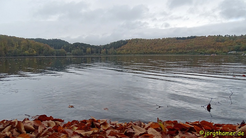 Wandern Vulkaneifel