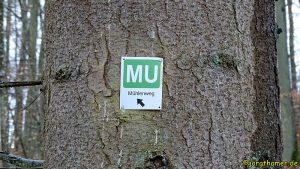 Wandern Vulkaneifel Mühlenweg