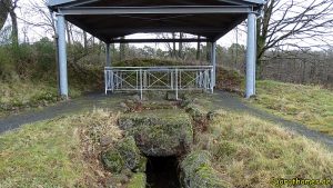 Strotzbüscher Tumm