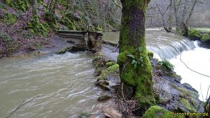 Mühlgraben Strotzbüscher Mühle