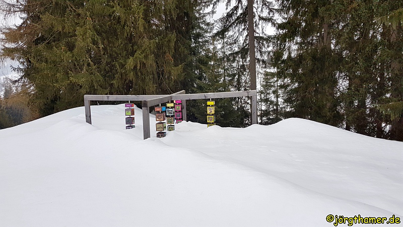 Schneeschuhwandern in Davos - GWunderwald