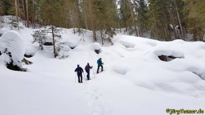 Schneeschuhwandern im GWunderwald Davos