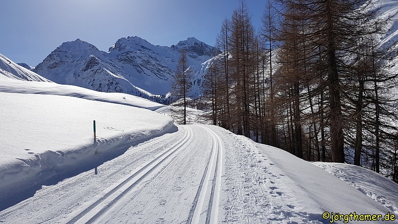 Langlauf in Davos - Sertig