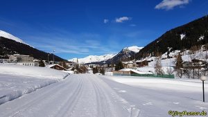 Langlauf in Davos - Frauenkirch