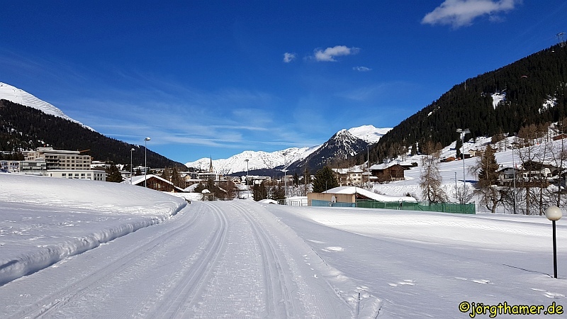 Langlauf in Davos - Frauenkirch