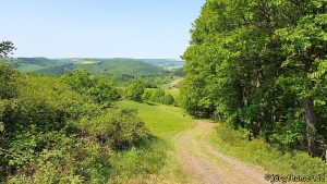 Wandermarathon Donnersberg - Wegführung