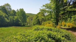 Wandermarathon am Donnersberg - Natur