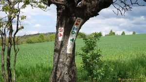 Wandern in der Rhön - Wegemarkierungen