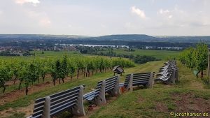 Goetheblick Johannisberg