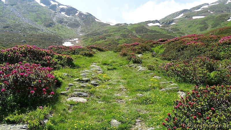 Via Spluga - Saumweg