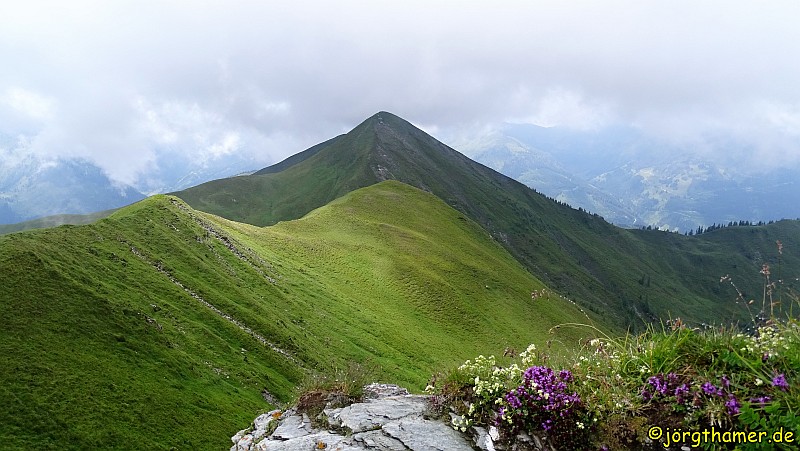 Blick vom Filzmooshörndl
