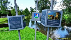 Trilogienadel der Wandertrilogie Allgäu