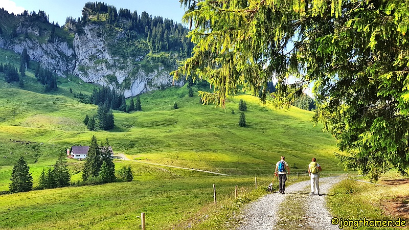 Alpe mit Beslerkopf
