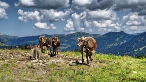 Wandern im Allgäu - Himmelsstürmer Route