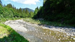 Der Boldenach bei Balderschwang