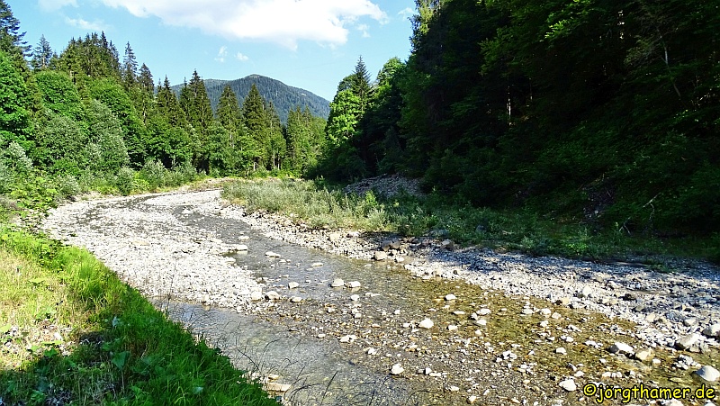 Der Boldenach bei Balderschwang
