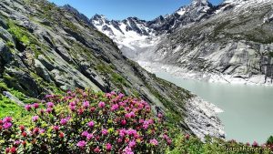 Weg zur Albigna Hütte
