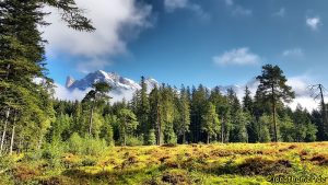 Maria Alm - Hochmoor mit Steinernem Meer