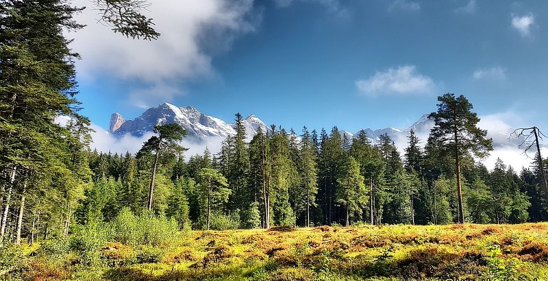 Maria Alm - Hochmoor mit Steinernem Meer