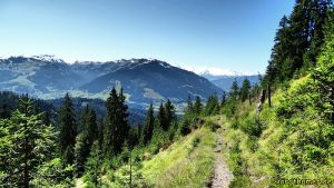 Panoramaweg Saalfelden mit Glocknergruppe