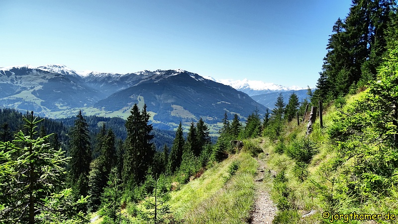 Panoramaweg Saalfelden mit Glocknergruppe