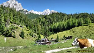 Steinalm bei Saalfelden