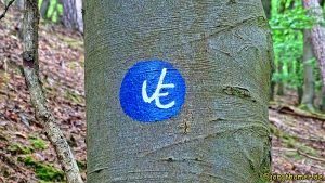 Wegemarkierung Urwaldsteig