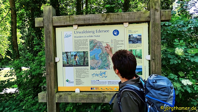 Wandern am Edersee - Urwaldsteig in drei Etappen