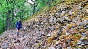 Wandern am Urwaldsteig - Kahle Hardt