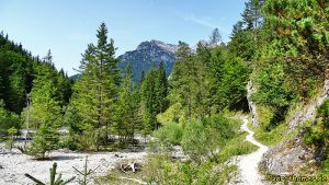Wandern in den Kitzbüheler Alpen - Grieselbach