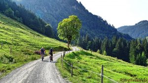 Weg zur Burgeralm