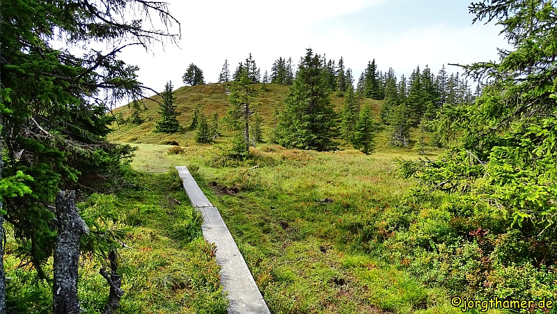 Hochmoor am Bernkogel