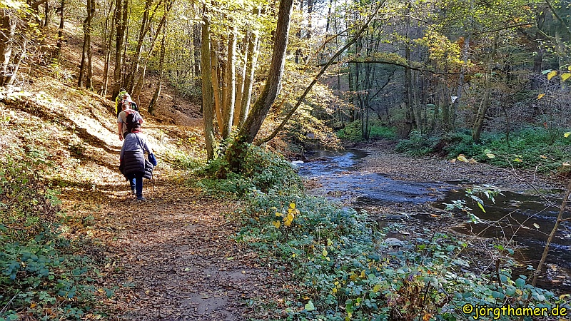 Traumpfad Pyrmonter Felsensteig - Eltzbachtal