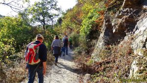 Traumpfad Pyrmonter Felsensteig - Felsenweg