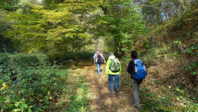 Hatzenporter Laysteig - Schrumpftal