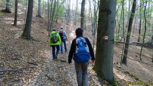 Hatzenporter Laysteig - Schomber Thalsberg