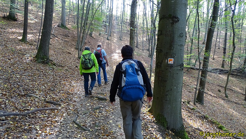 Hatzenporter Laysteig - Schomber Thalsberg