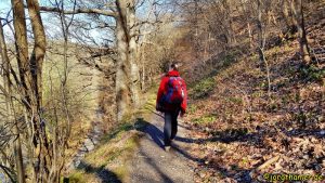 Klosterrunde Heimbach Rureifel