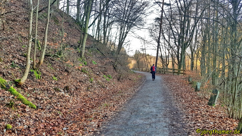 Wandern am Rursee