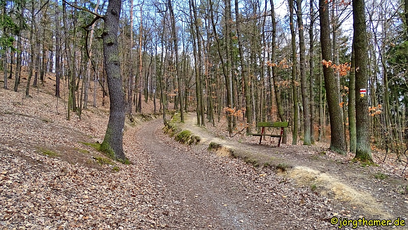 Auf dem Lehrpfad durch den Wald bei Neubuschitz