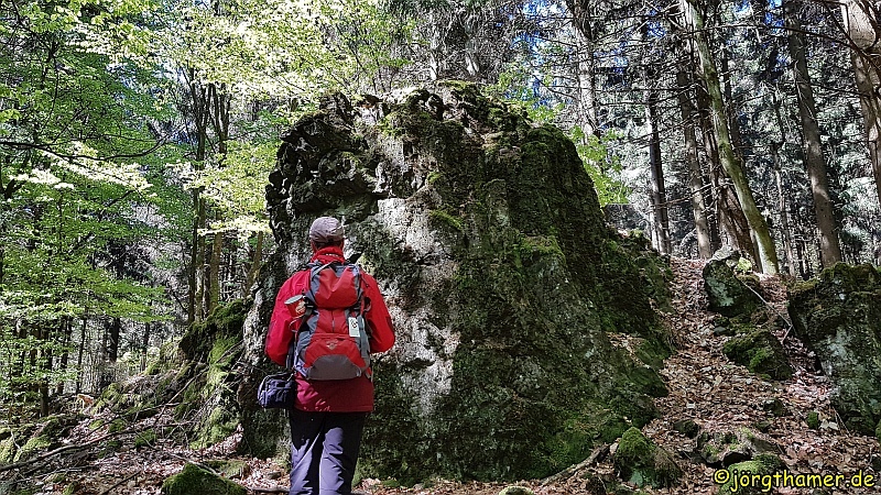 Gesicht - Herchenhainer Höhe