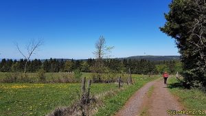 Idylle am Bergmähwiesenpfad