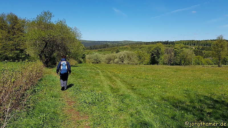 Bergmähwiesenpfad