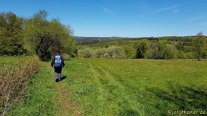 Bergmähwiesenpfad